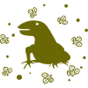 Salamander - Amphibian Animal