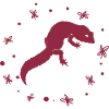Salamander - Amphibie Tier