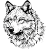 White Wolf