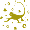 Salamander - Amphibie Tier