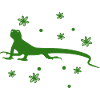 Salamander - Amphibian Animal