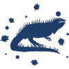 Bearded dragon - amphibian animal