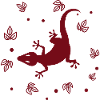 Salamander - Amphibie Tier