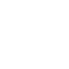brandmauer