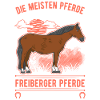 Freiberger Pferd Personal
