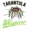 Tarantel Flüsterer Tarentula Whisperer