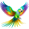 Rainbow Parakeet (02)