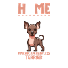 Home - American Hairless Terrier