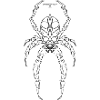 UNKNOWN STRENGTH-THE SPIDER