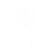 UNKNOWN STRENGTH-THE SPIDER