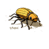 A giant fat insect