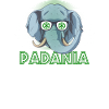 Padanie