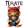Pi day Pirate Cat