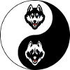 Yin Yang Husky Wolf