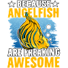 Because Angelfish are freaking Awesome