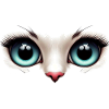 Cat's Eyes Light
