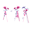 visuel carna 2024