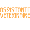 Often Imitated Best Veterinary Assistant