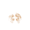 I shih tzu not!