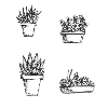 small hand drawn succulents illustration