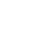 Cute Owl - Little Owl