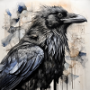 The Black Raven