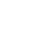 Canik Fanatik