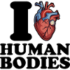 I love human bodies