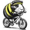 Cycling guinea pig