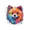 Pomeranian Dog Pop Art Head