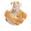 Bouledogue de fitness