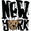 new york, bear,style