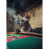 Chat dans le casino