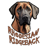 Rhodesian Ridgeback Dog