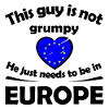 The European Elections