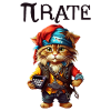 Pi day Pirate Cat