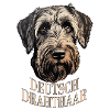 German Wirehaired Dog