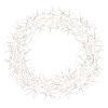 Crown of Thorns