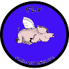 Fliegen