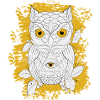 GOLDEN OWL LINEAR