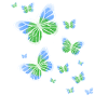 Schmetterling Schmetterling bunt Kinder Tier