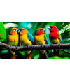 4EACC99B 3378 4C17 A761 9134C1EF14FB