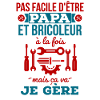 Papa bricoleur 2