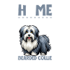 Accueil - Bearded Collie