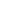 Little Ballet Dancer
