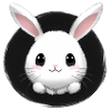 Petit lapin lapin