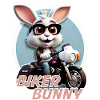 Lapin motard