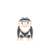 Humour petit singe babouin