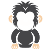 Humour petit singe babouin