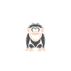 Humour petit singe babouin